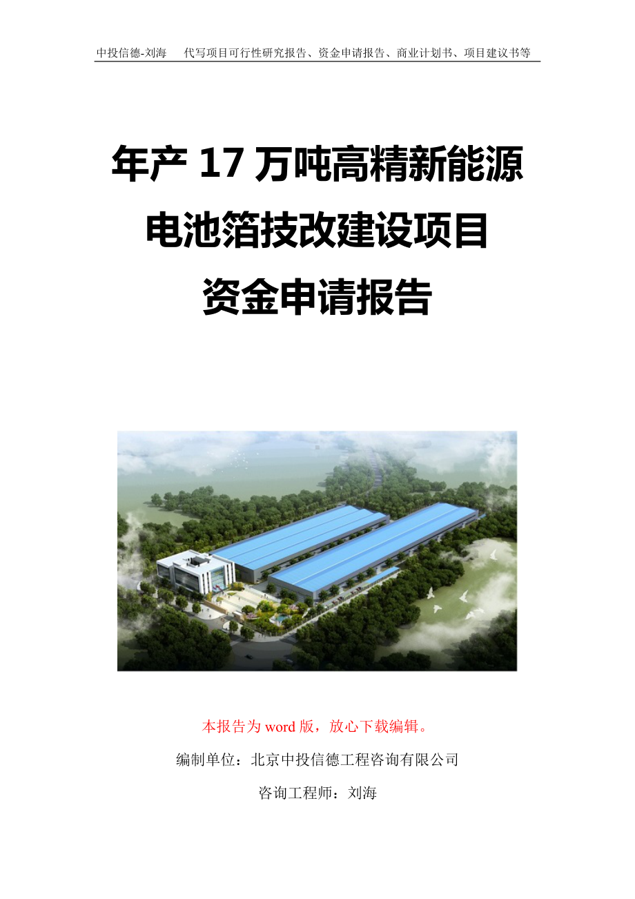 年产17万吨高精新能源电池箔技改建设项目资金申请报告写作模板定制.doc_第1页