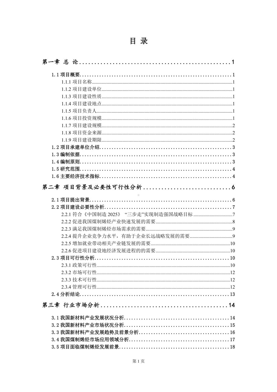 重点项目煤制烯烃建设项目可行性研究报告申请立项备案可修改案.doc_第2页