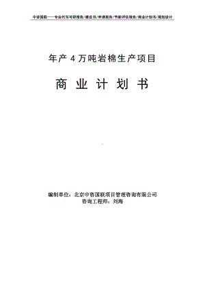 年产4万吨岩棉生产项目商业计划书写作模板-融资招商.doc