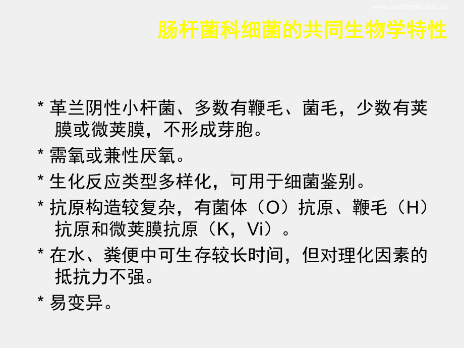 《医学免疫学》课件11第24章 肠杆菌科细菌.ppt_第2页