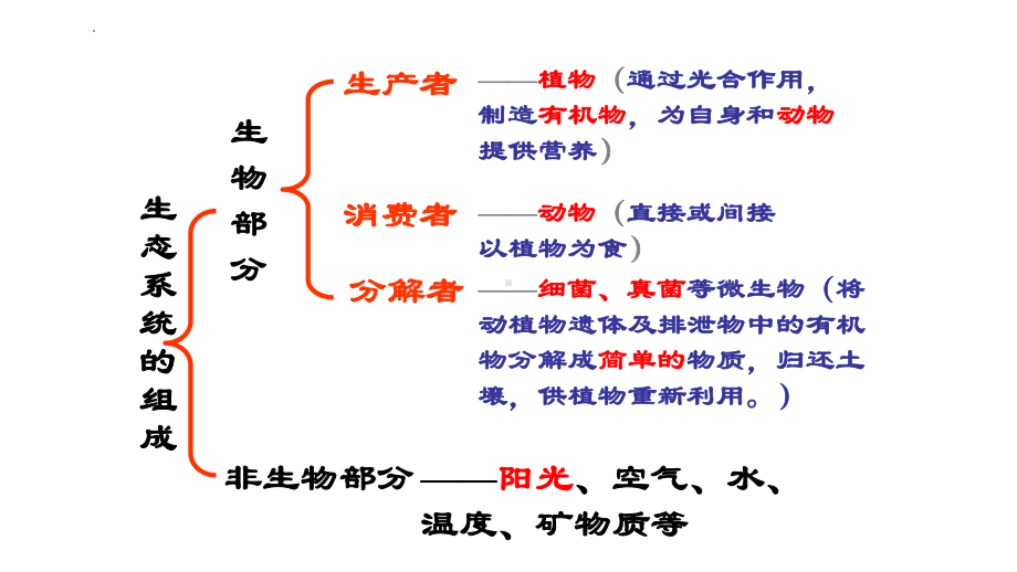 人教版七年级上册生物期中复习课件42张.pptx_第3页