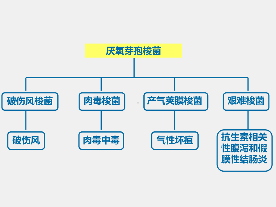 《医学免疫学》课件13第26章 厌氧性细菌.ppt_第2页