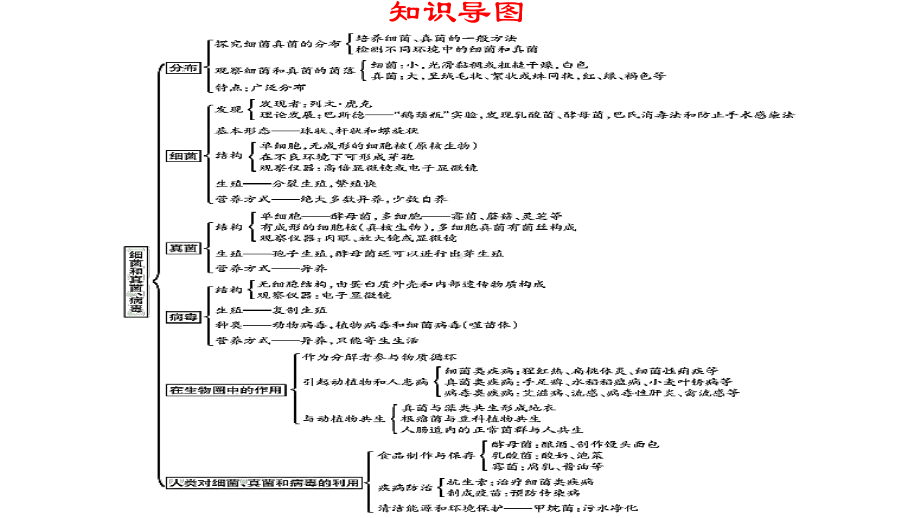 人教版八年级上册生物第四章 细菌和真菌、第五章 病毒复习课件52张.pptx_第2页