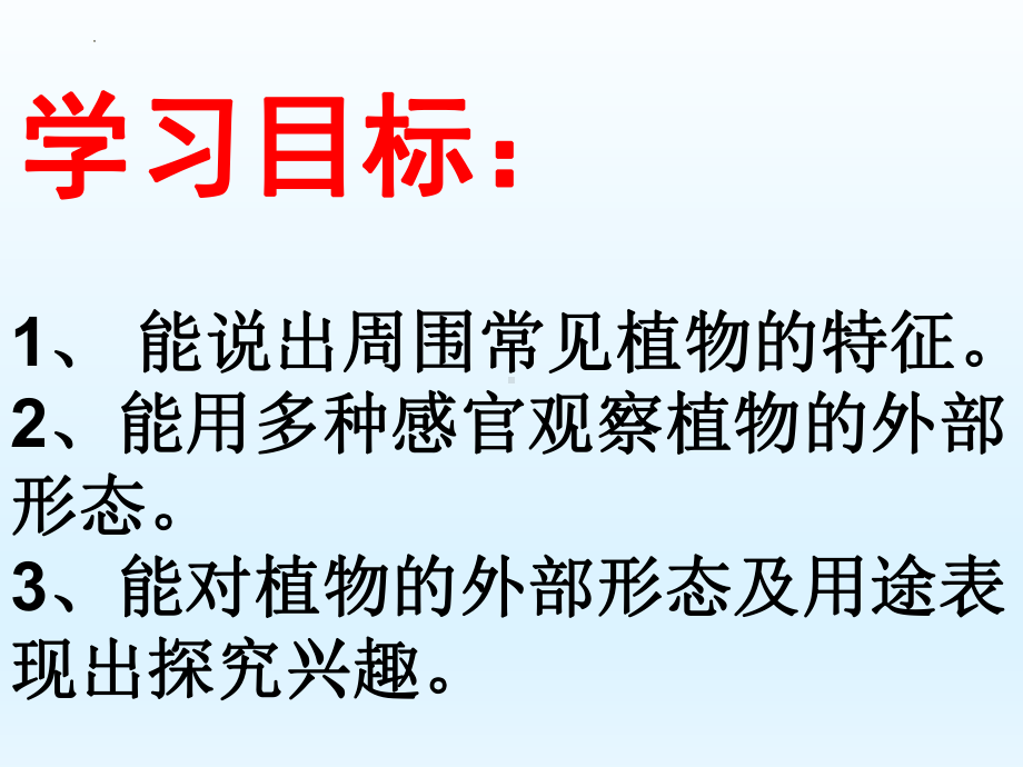 2023新冀人版 一年级科学上册5 认识植物教学ppt课件(共22张PPT).pptx_第2页