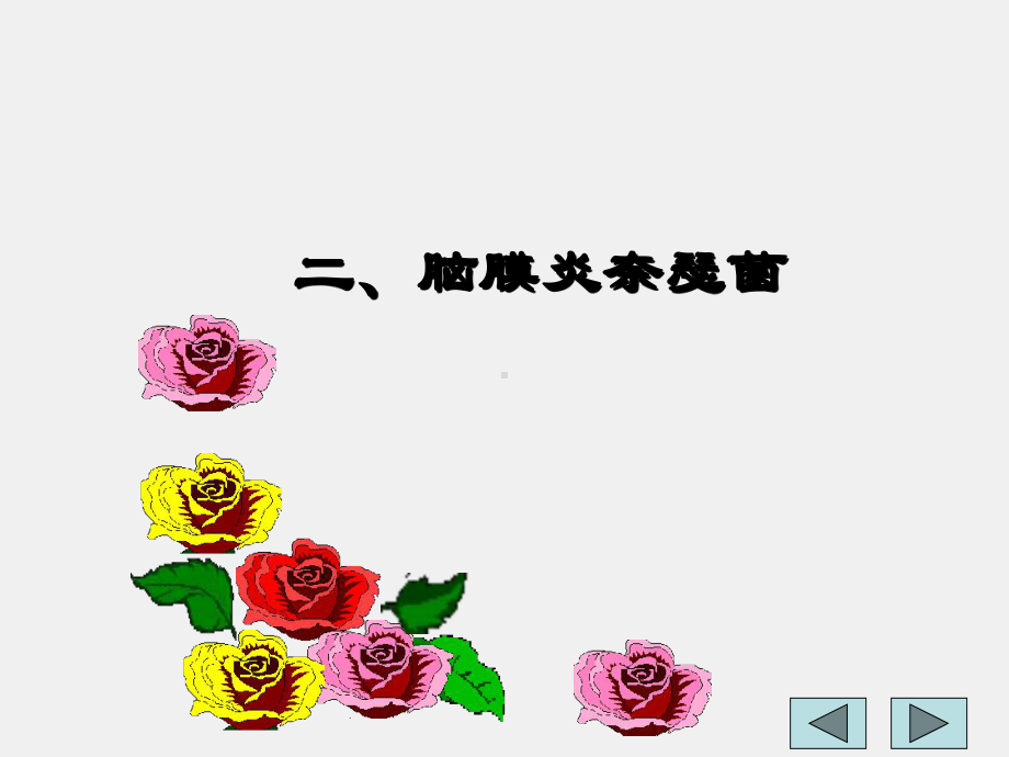 《病原生物学与免疫学》课件10章1节二、脑膜炎奈瑟菌.ppt_第1页