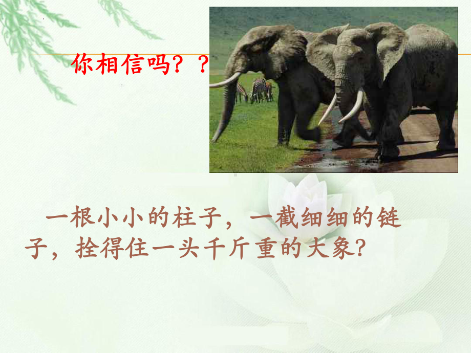 2023年高一下学期《习惯形成性格性格决定命运》主题班会ppt课件.pptx_第2页