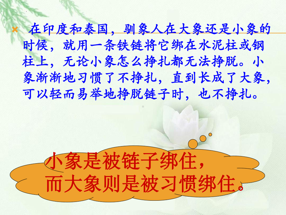 2023年高一下学期《习惯形成性格性格决定命运》主题班会ppt课件.pptx_第3页