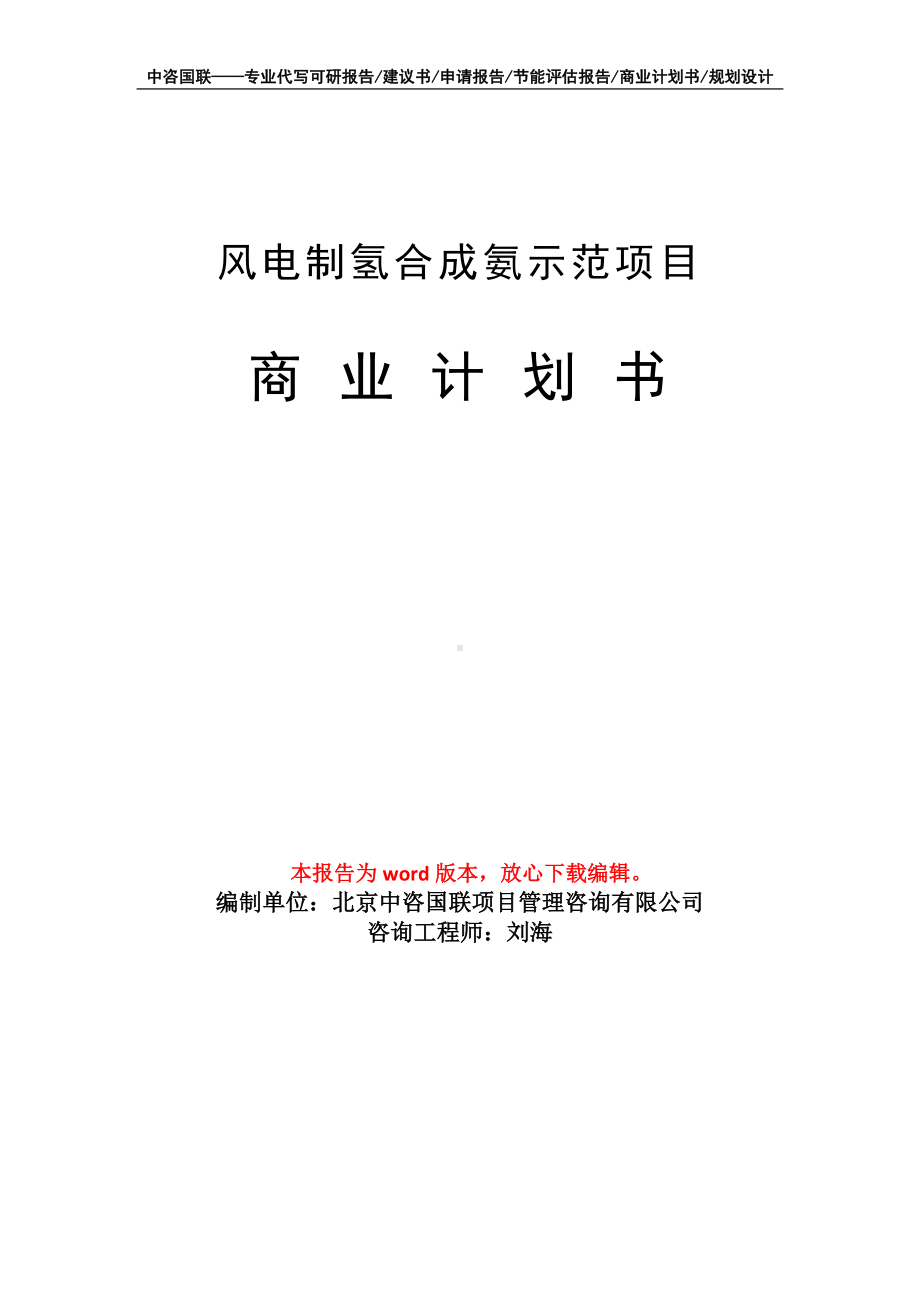 风电制氢合成氨示范项目商业计划书写作模板-融资.doc_第1页