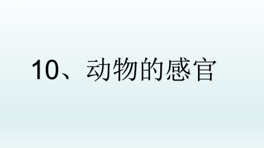 2023新冀人版 一年级科学上册10.动物的感官教学ppt课件(共21张PPT).pptx_第1页