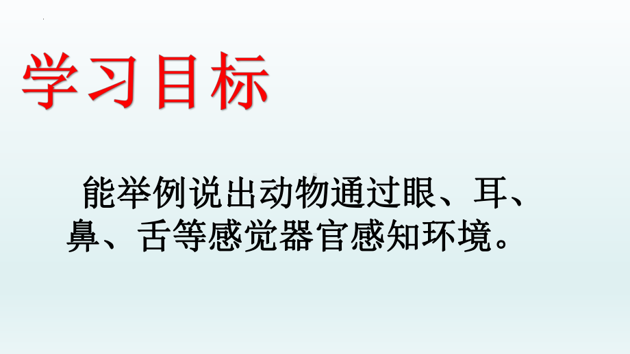 2023新冀人版 一年级科学上册10.动物的感官教学ppt课件(共21张PPT).pptx_第2页