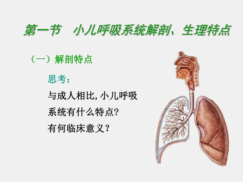 《儿科护理学》课件第八章 呼吸系统疾病.ppt_第3页