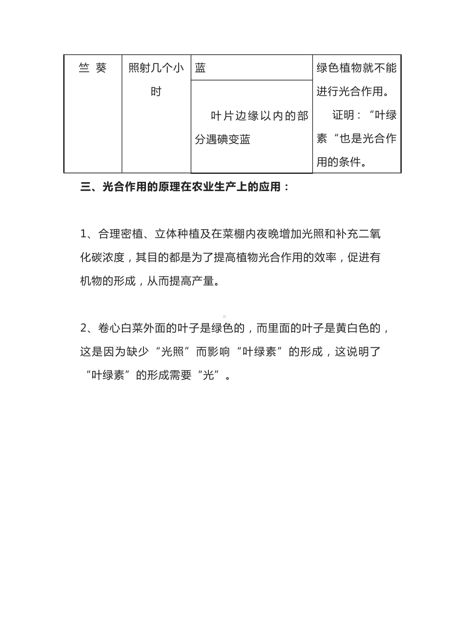 初中生物专题之光合作用相关知识点梳理.docx_第3页