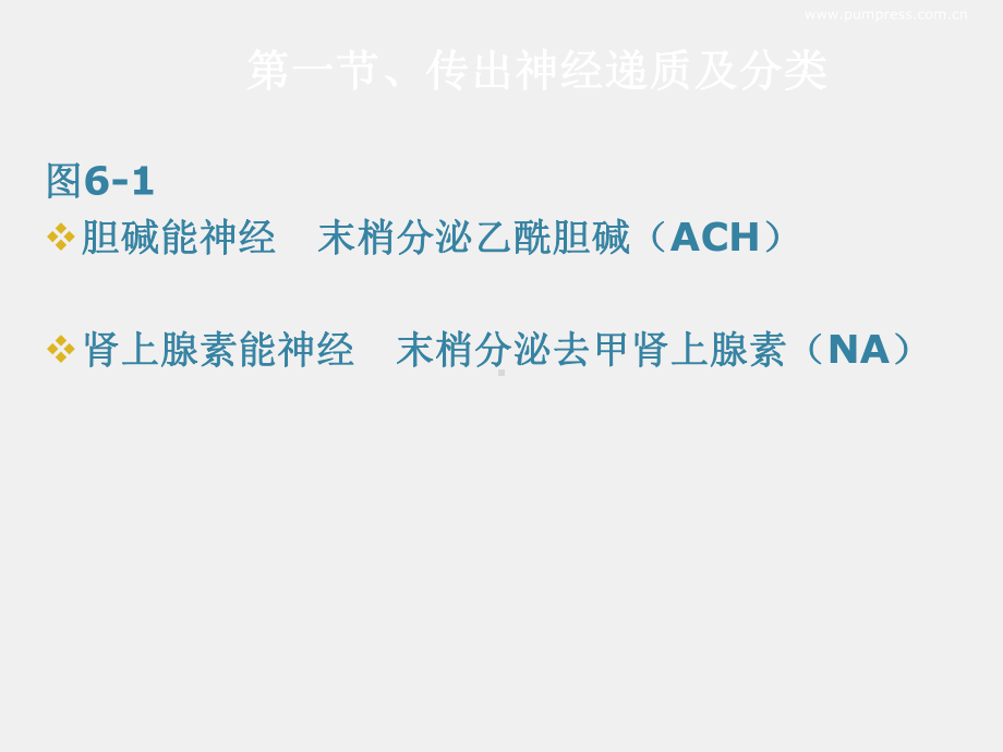 《护理药理学》课件第6章传出神经系统药理学概论.ppt_第1页