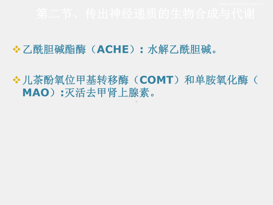 《护理药理学》课件第6章传出神经系统药理学概论.ppt_第2页