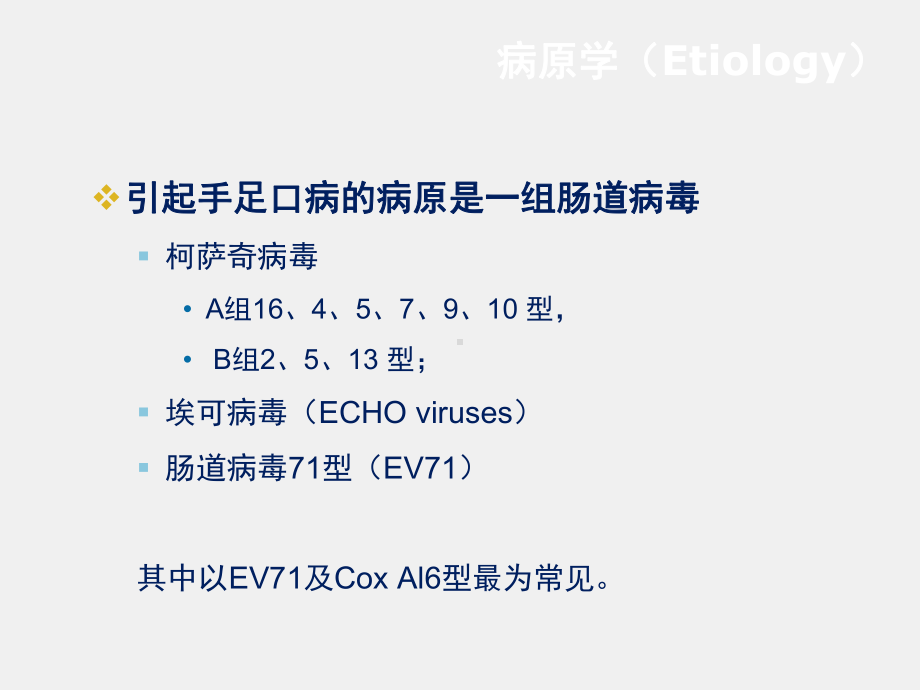 《儿科学》课件第8章第二节 手足口病.ppt_第2页