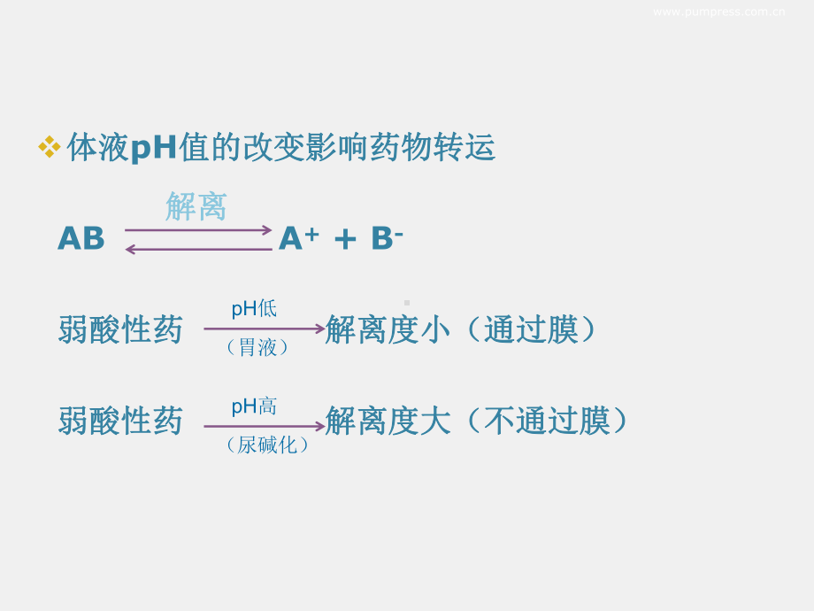 《护理药理学》课件第3章药物代谢动力学.ppt_第2页