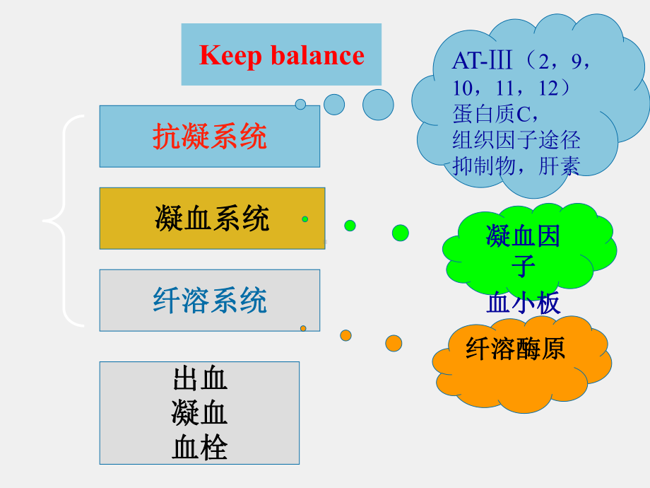 《护理药理学》课件第24章 作用于血液和造血系统的药物.ppt_第1页