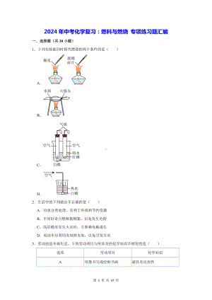 2024年中考化学复习：燃料与燃烧 专项练习题汇编（含答案解析）.docx