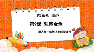 2023新冀人版科学一年级上册9.观察金鱼ppt课件（共38张PPT）.pptx