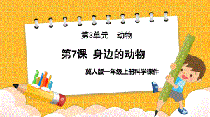 2023新冀人版科学一年级上册7 身边的动物ppt课件（共27张PPT）.pptx