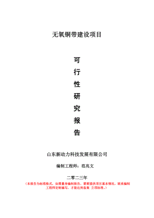 重点项目无氧铜带建设项目可行性研究报告申请立项备案可修改案.doc