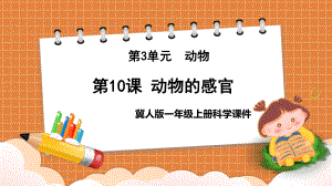 2023新冀人版科学一年级上册10 动物的感官ppt课件（共29张PPT）.pptx