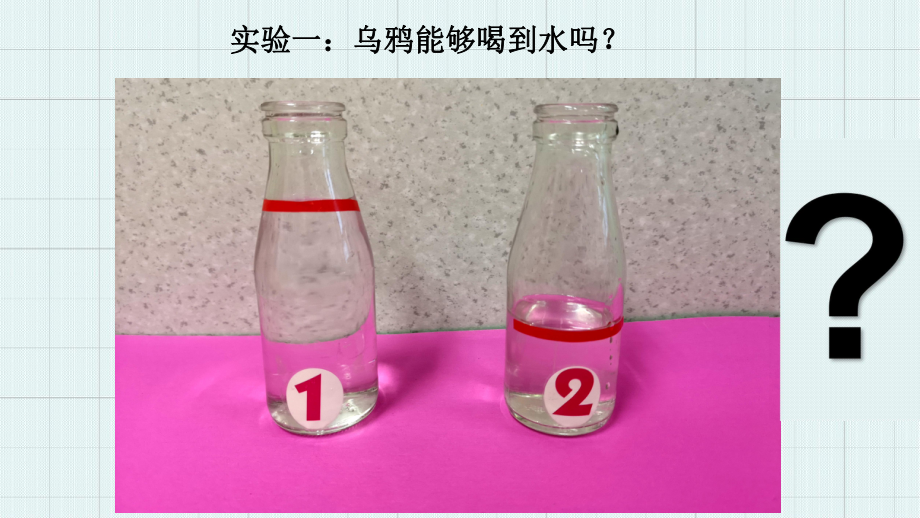 幼儿园大班科学《乌鸦喝水》课件.pptx_第3页