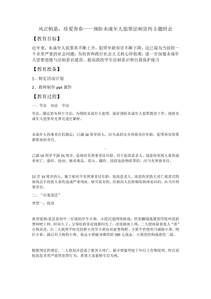 风正帆悬珍爱青春 预防未成年人犯罪法制宣传 教案-高中主题班会.docx