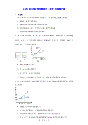 2024年中考化学专题复习：溶液 练习题汇编（Word版含答案）.docx