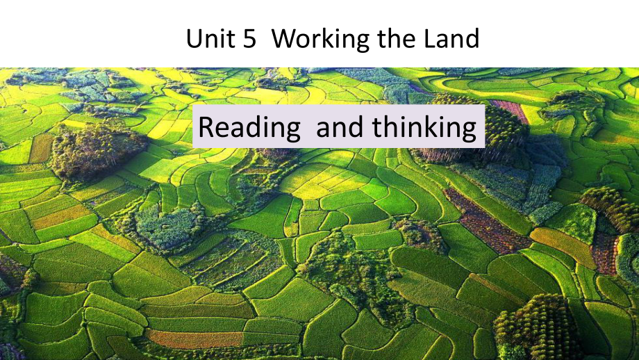 Unit 5 Working the Land Reading and Thinking ppt课件-（新教材）高中英语人教版（2019）选择性必修第一册.pptx_第1页