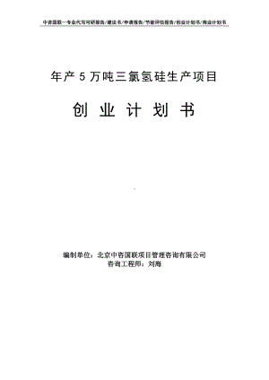 年产5万吨三氯氢硅生产项目创业计划书写作模板.doc