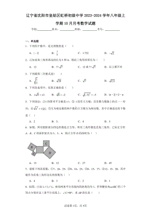 辽宁省沈阳市皇姑区虹桥初级中学2023-2024学年八年级上学期10月月考数学试题.pdf