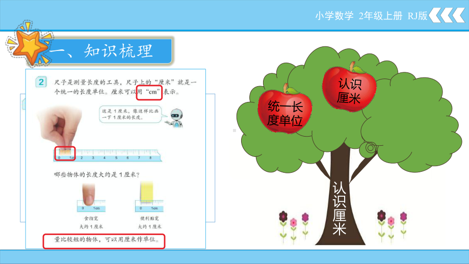 1-1 认识厘米和用厘米量课件 人教版数学二年级上册.pptx_第3页