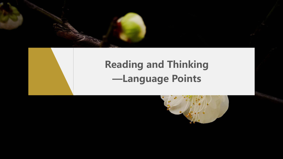 Unit 2 Period 2 Reading and Thinking Language Points 课件ppt--（2023新教材）高中英语人教版（2019）选择性必修第三册.pptx_第2页