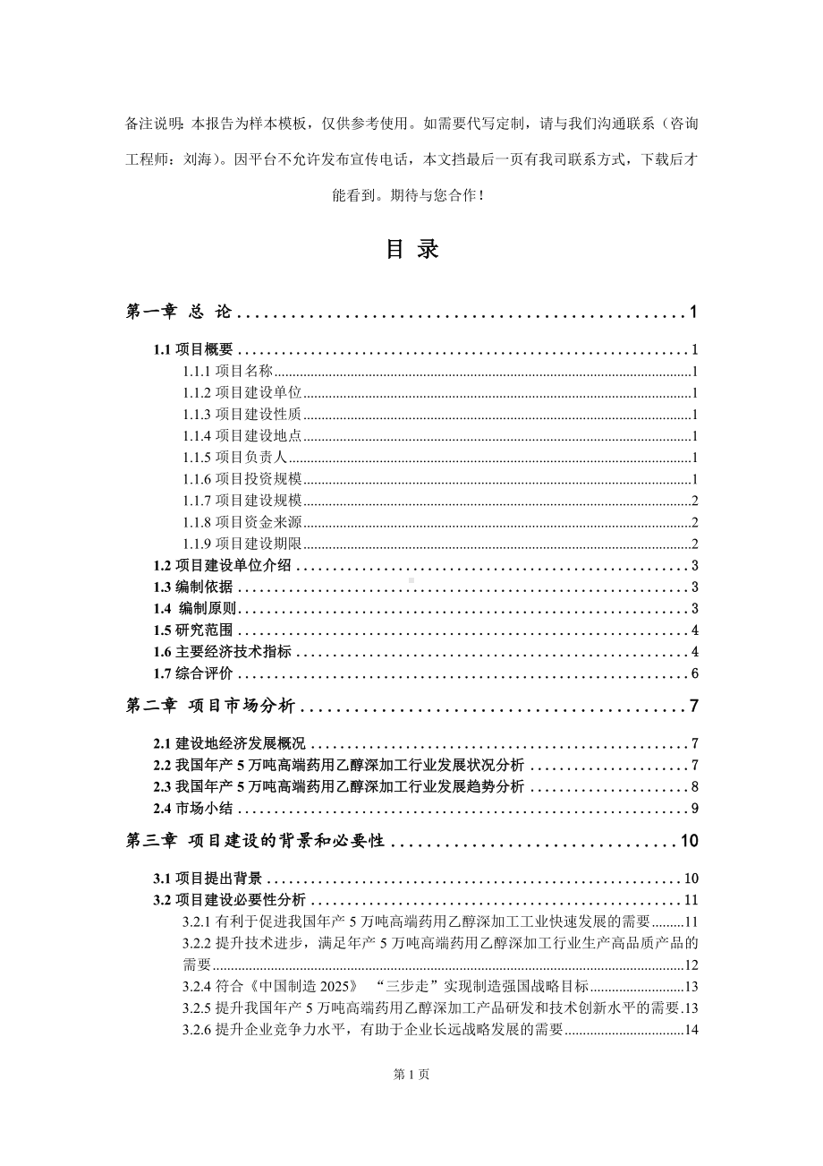 年产5万吨高端药用乙醇深加工项目可行性研究报告模板.doc_第2页