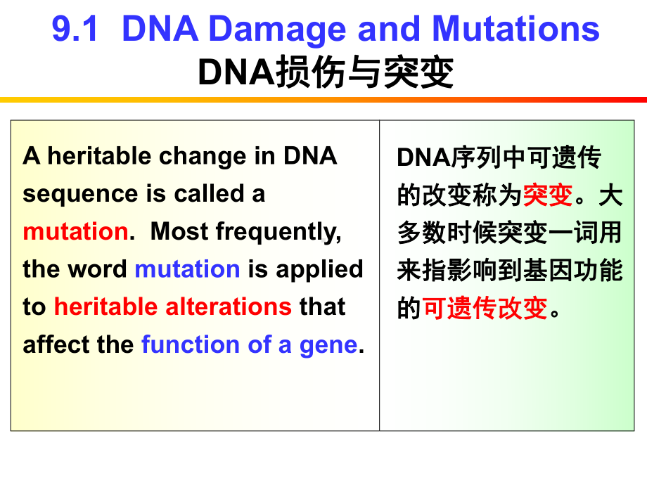 《英汉对照分子生物学导论》课件Chapter 9.ppt_第3页