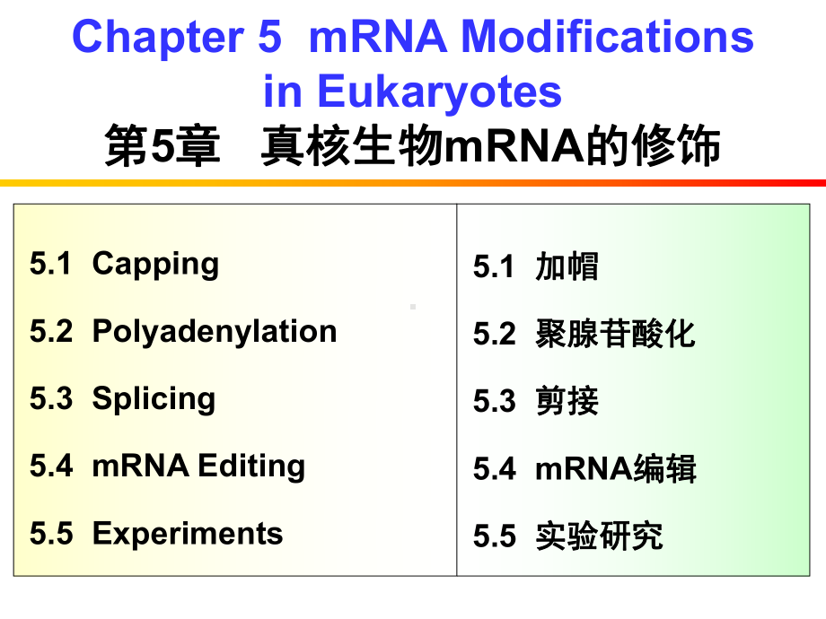 《英汉对照分子生物学导论》课件Chapter 5.ppt_第2页