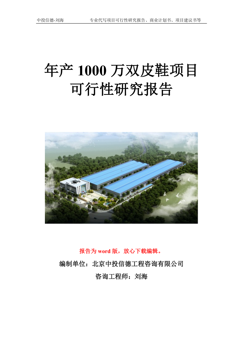 年产1000万双皮鞋项目可行性研究报告写作模板立项备案文件.doc_第1页