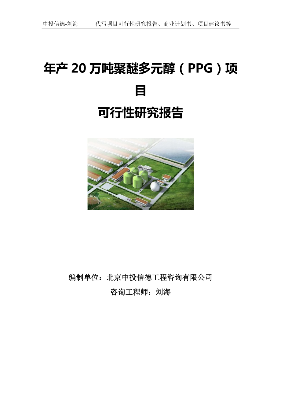 年产20万吨聚醚多元醇（PPG）项目可行性研究报告写作模板-立项审批.doc_第1页