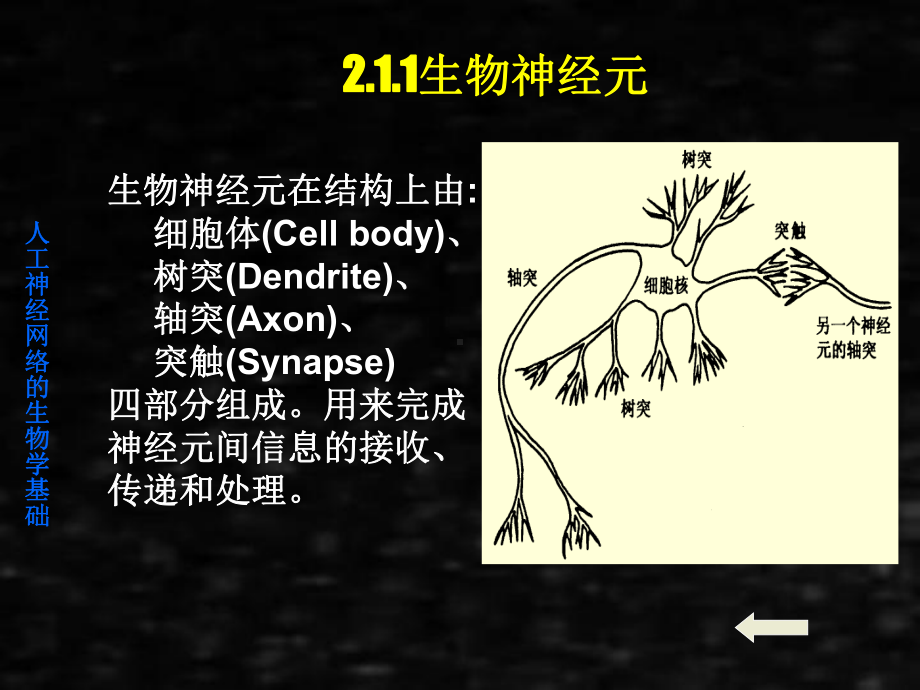 《人工神经网络理论、设计及应用》课件第二章基础知识.ppt_第3页