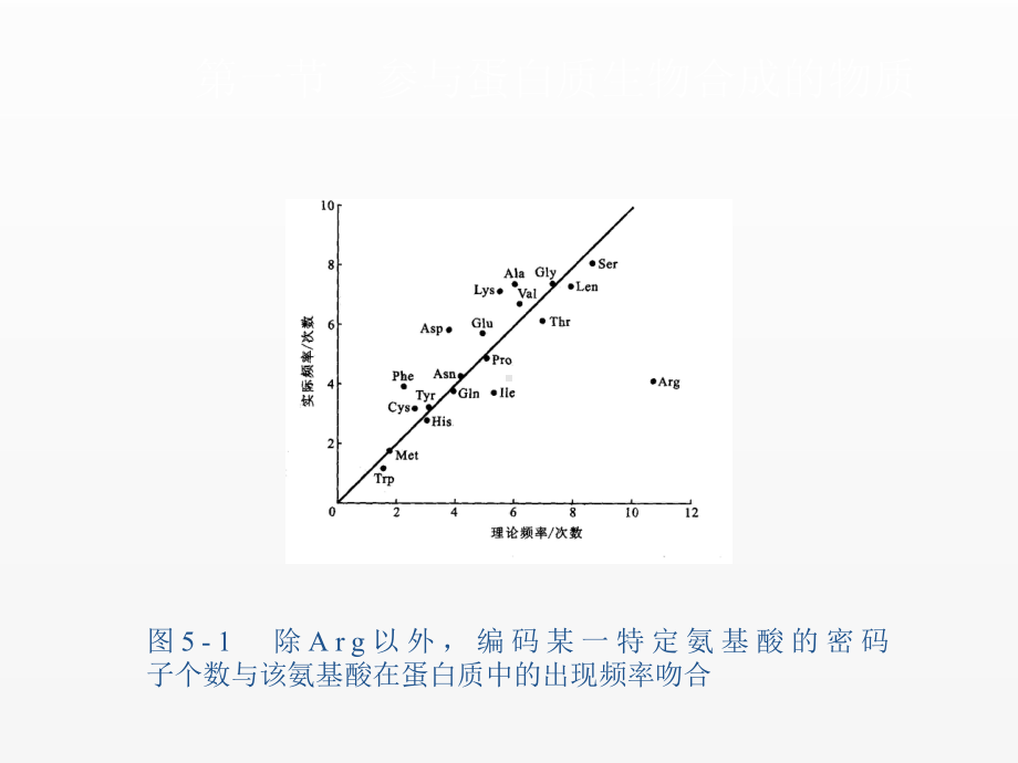 《分子生物学基础》课件第五章.ppt_第3页