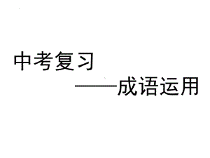 （统编版）成语运用 ppt课件（共31张ppt）2023年中考语文二轮专题.pptx