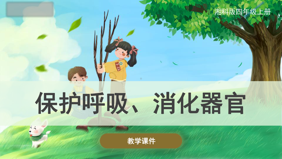 2.4 保护呼吸和消化器官 ppt课件（44张PPT）-2023新湘科版四年级上册《科学》.pptx_第1页