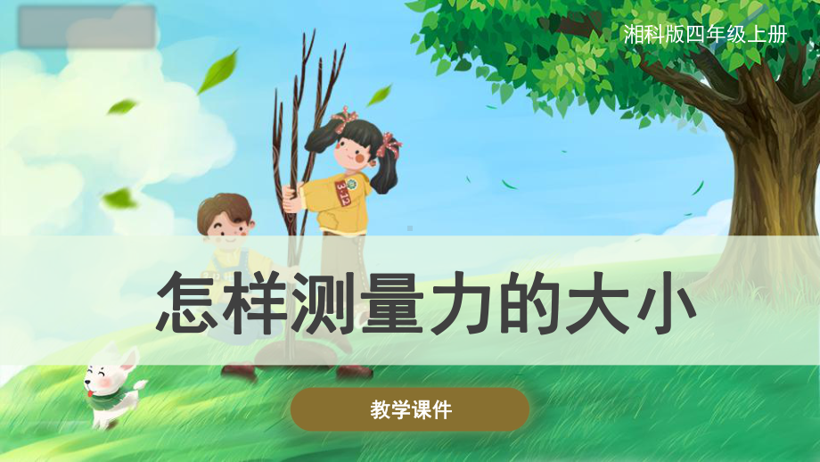 5.5 怎样测量力的大小 ppt课件（31张PPT）-2023新湘科版四年级上册《科学》.pptx_第1页