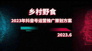 2023年乡村野食抖音号运营推广策划方案.pptx