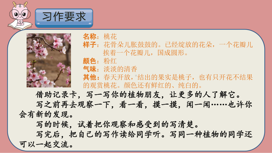 习作：我的植物朋友（第二课时）课件.pptx_第2页