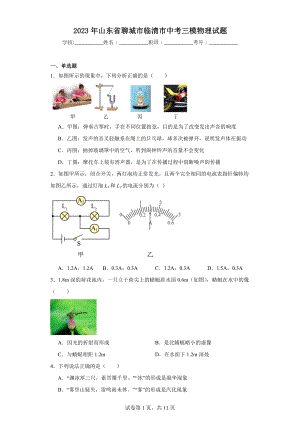 2023年山东省聊城市临清市中考三模物理试题.docx