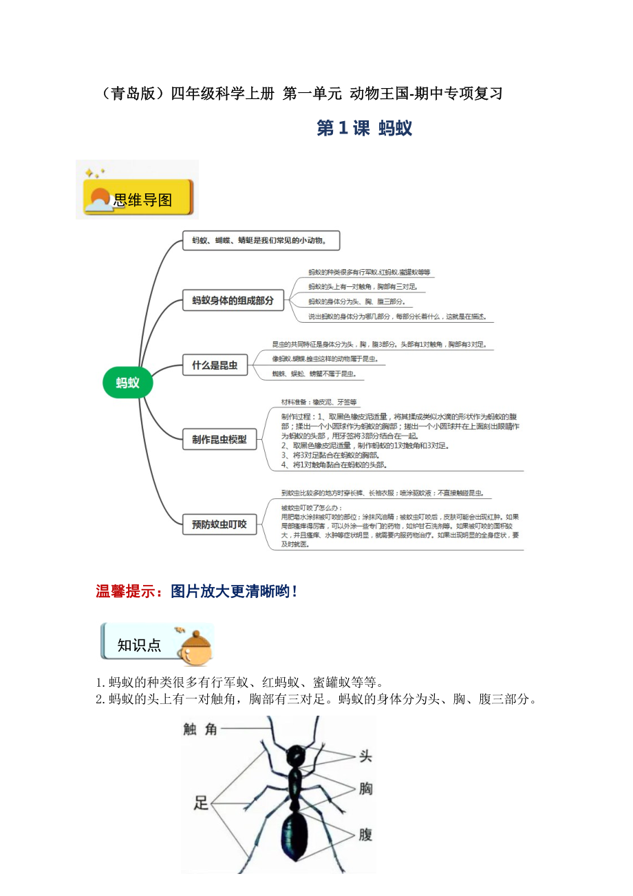 2023新六三制青岛版四年级上册《科学》第一单元 动物王国-期中专项复习.doc_第1页