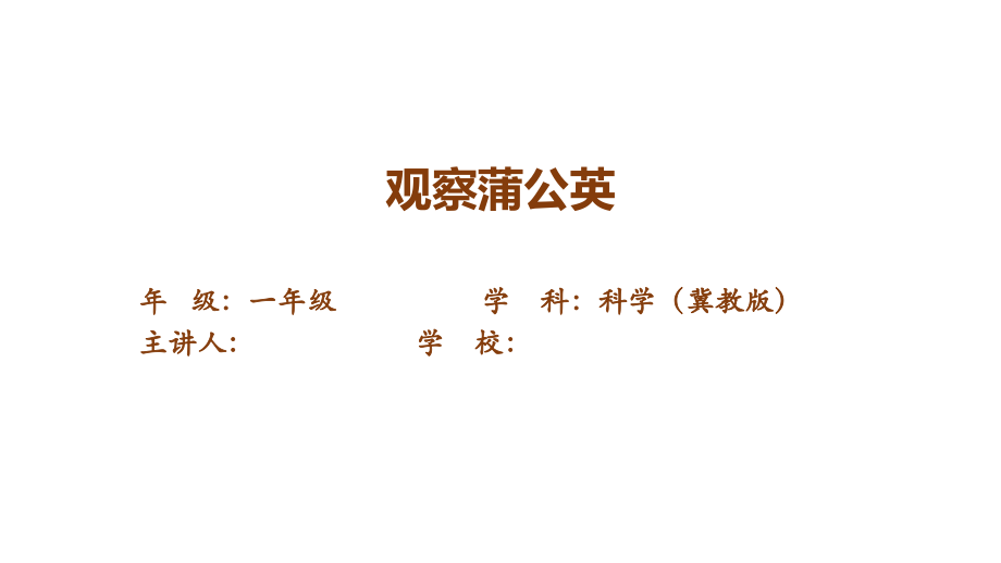 6.观察蒲公英 ppt课件（共10张PPT+视频）-2023新冀人版一年级上册《科学》.zip