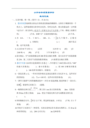 北师大版数学小升初专项训练 -数与代数.docx